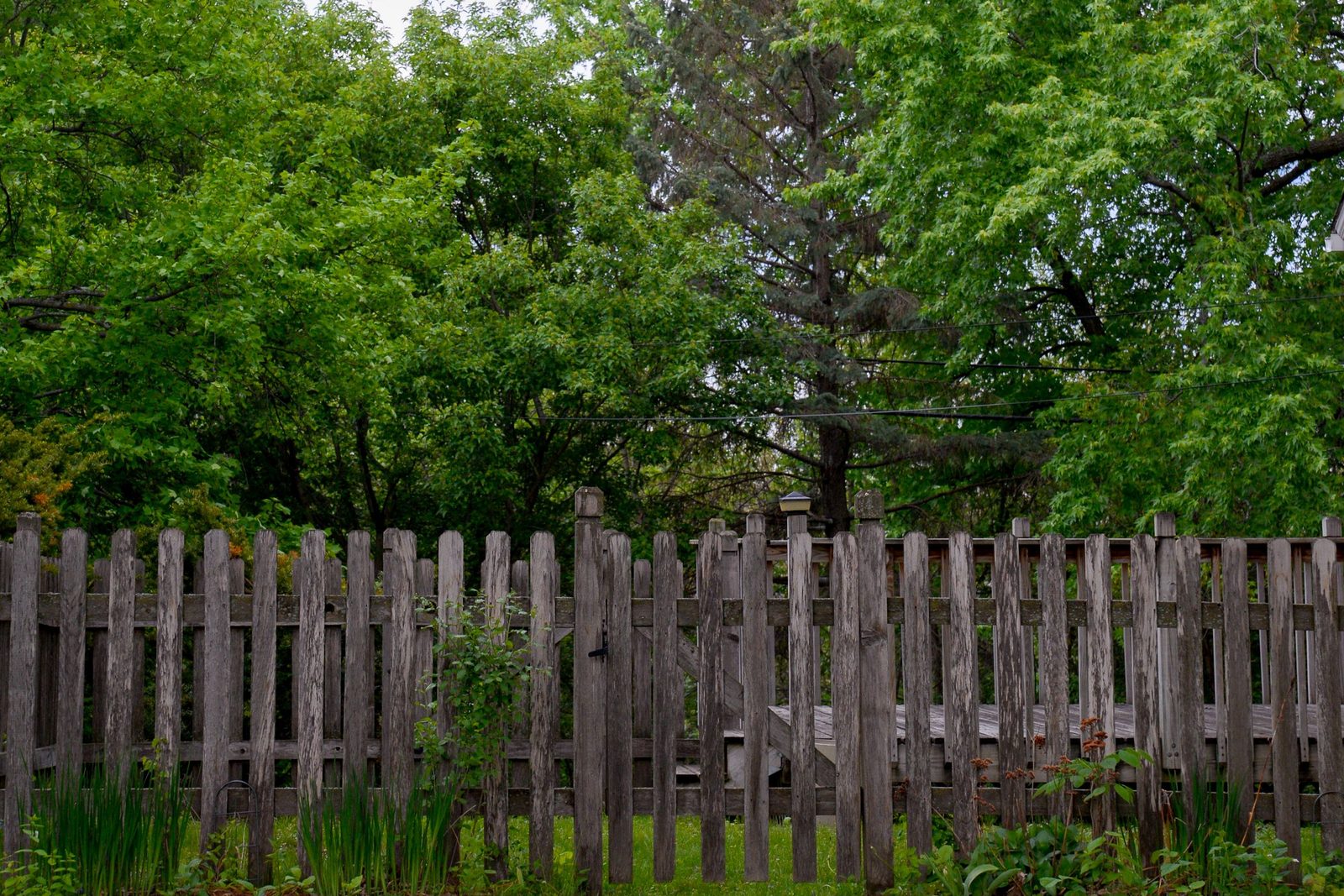 Fenced residential backyard, an example of a full exterior property refresh