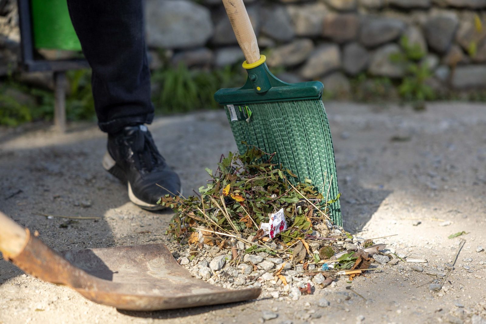 Yard debris being raked and cleared, an example of the cleanups we handle
